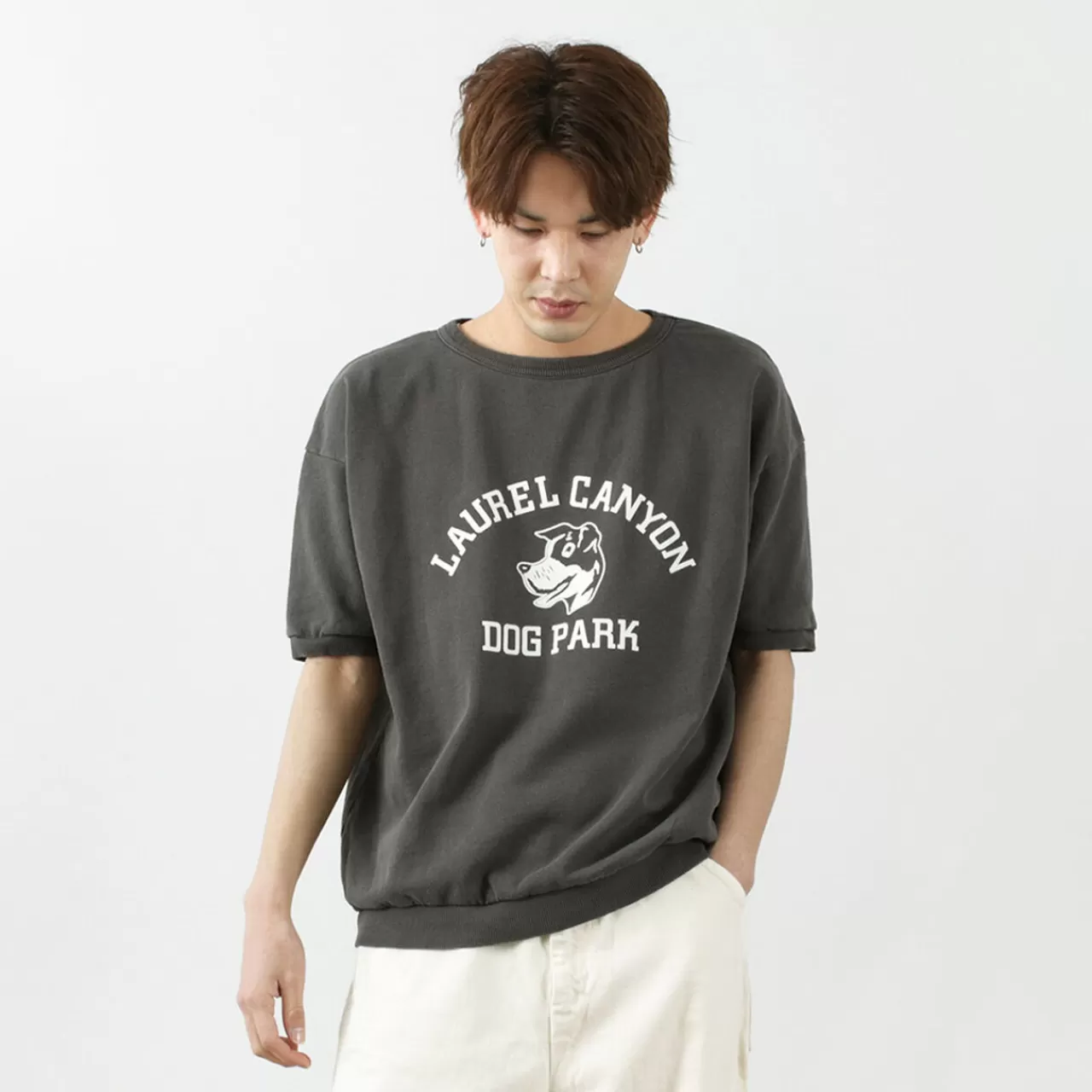 MIXTA Short Sleeves>Vintage Short Sleeve Printed Sweatshirt (Dog Park) Vintageblack