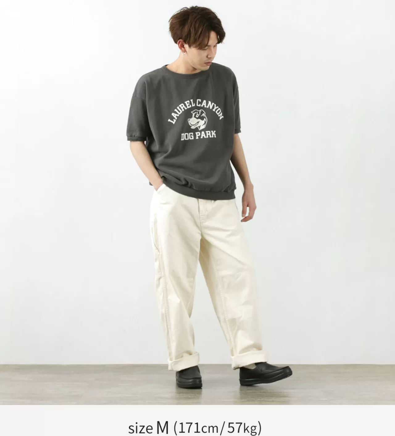MIXTA Short Sleeves>Vintage Short Sleeve Printed Sweatshirt (Dog Park) Vintageblack
