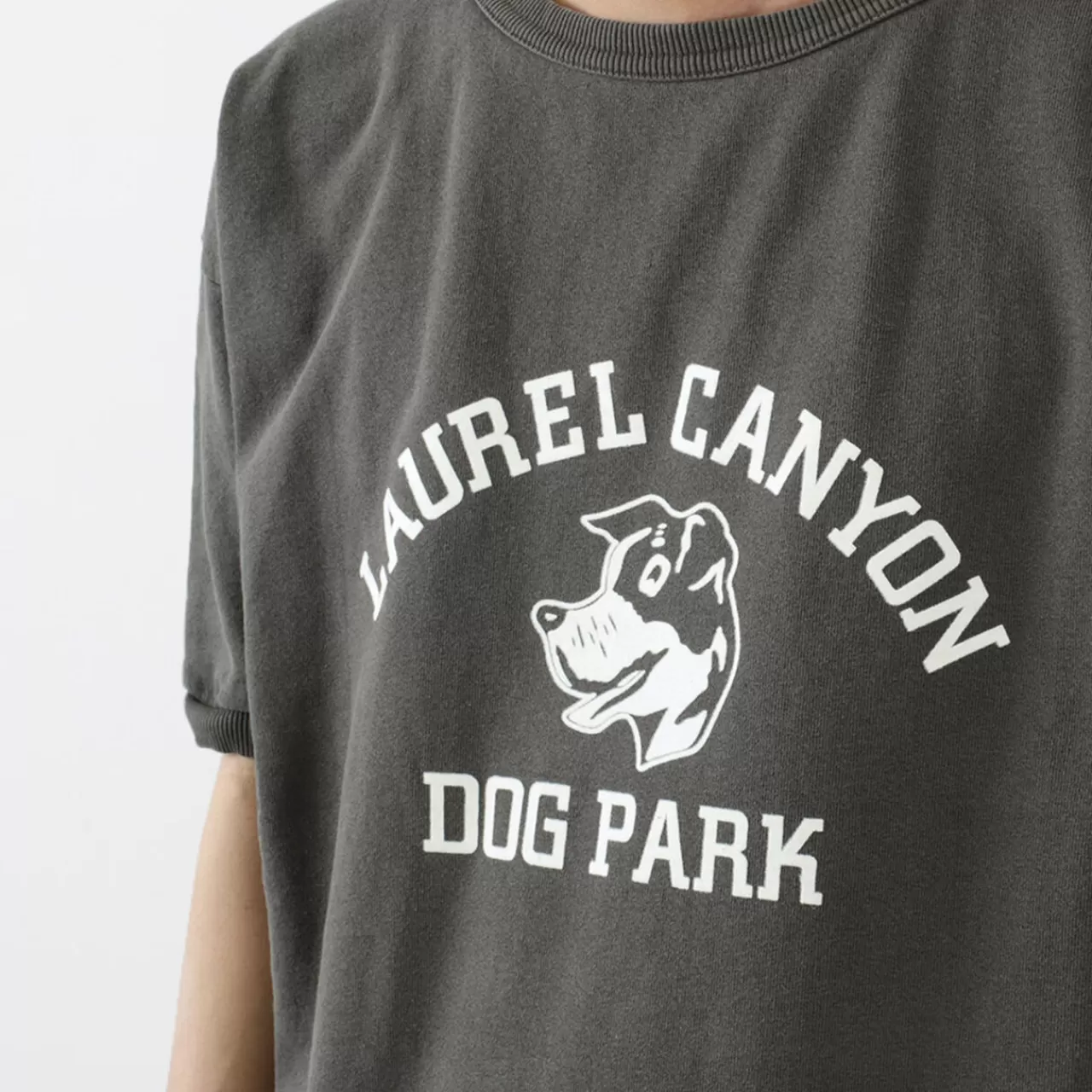 MIXTA Short Sleeves>Vintage Short Sleeve Printed Sweatshirt (Dog Park) Vintageblack